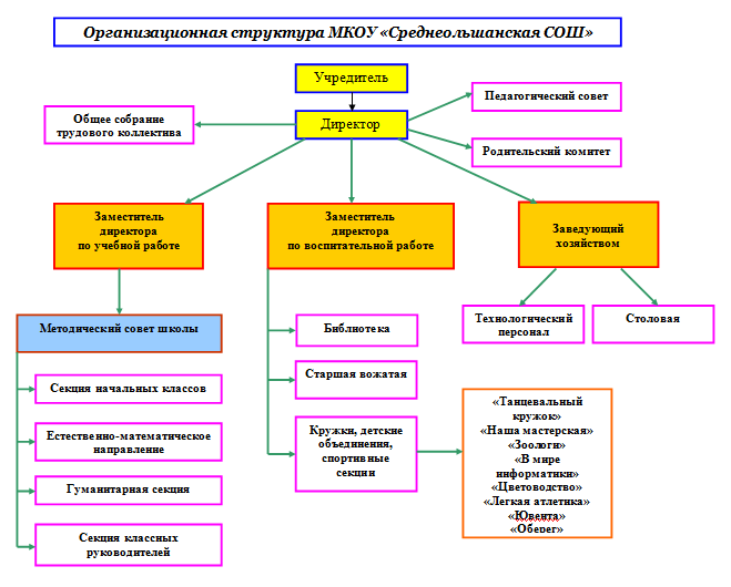 Структура и органы управления образовательной организацией.